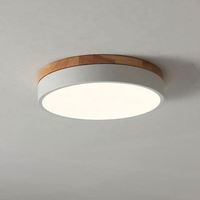 Plafonnier LED rond en fer et PS 36W, 500mm*50mm, 220 Volts