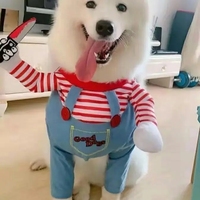 Costume d'Halloween pour chien : Vêtements amusants pour animaux de compagnie, Chucky, la poupée mignonne tenant un couteau – Nouveauté très prisée