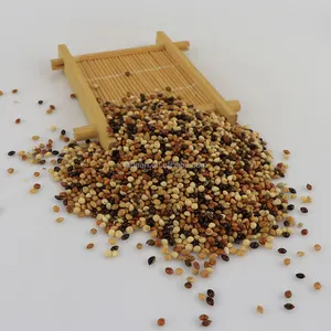Wholesale Bird Food Mix Color Millet Seed Red Yellow Black White Millet
