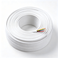 Câble plat flexible RVV 450/750V à âme en cuivre, isolé PVC, gaine plate, norme UE, 12 AWG, câble de signalisation et de commande TONGBAO