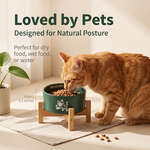 Gamelle en céramique minimaliste japonaise pour animaux de compagnie, non poreuse, anti-odeur, anti-acné, base antidérapante non émaillée, 15 cm, pour chats et chiens, OEM - Product Image 4
