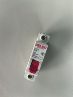Interruptor Automático Miniatura (MCB) de 1 Polo Dz47s para Protección Contra Sobrecarga y Cortocircuitos Monofásicos