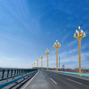 เสาไฟถนน LED อลูมิเนียมอัลลอยด์ กันน้ำ IP65 สำหรับสวนภายนอกอาคาร แสงสว่าง AC 220V โคมแก้วพร้อมเซ็นเซอร์ตรวจจับความเคลื่อนไหว - Product Image 5