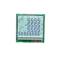 Módulo LCD FSTN Positivo de Siete Segmentos Capacitivo Personalizado Goldenvision GVH890-21 para Uso Industrial, 1 Año de Garantía, 53.60*45 Outline