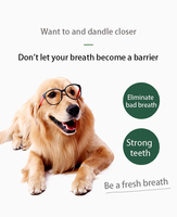 Venta al por mayor personalización eliminar el mal aliento sabor de carne de perro mascota pasta de dientes