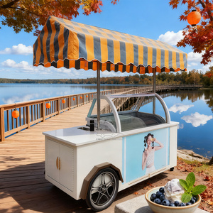 Chariot de Glaces Gourmet Personnalisé Remorquable avec Parasol, 2 Roues, Construction Métallique, Vitrine Réfrigérée pour Glaces - Product Image 3