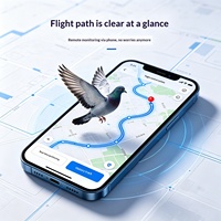 Traceur GPS pour bagues de pied de pigeon, pour pigeons voyageurs de course et corbeaux - Anti-perte, surveillance à distance, entraînement, libération en vol, endurance, PVC
