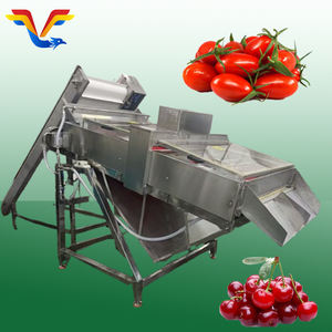 Máquina Despulpadora de Cerezas Comercial de Alta Eficiencia, de Acero Inoxidable, Fabricada en China - Product Image 4