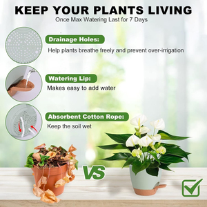 Chậu trồng cây P78 dùng trong nhà và ngoài trời, chậu cây mọng nước tự tưới có lỗ thoát nước và đĩa lót - Product Image 5
