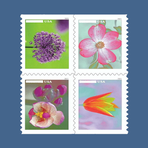 Etiquetas de Sello Postal de Jardín Vintage Us Forever 2021 2024 2025, Etiquetas de Sello Postal de Estados Unidos, Etiquetas de Correo de Estados Unidos Originales - Product Image 1