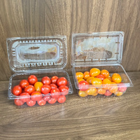 Contenants jetables transparents en PET de 500g avec trous d'aération, coques à clapet haute transparence pour tomates et salades