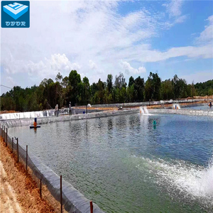 500 микрон HDPE, противофильтрационная облицовка водоёма для рыбного хозяйства, hdpe-геомембрана Сделано в Китае для рыбы креветки пруд в Доминика - Product Image 5