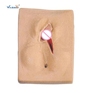 Simulator Pelatihan Penjahitan <span class=keywords><strong>Vagina</strong></span> Perineum dan Organ Kelamin untuk Dijual, Peralatan Pengajaran Ilmu Kedokteran, Model Pelatihan - Product Image 3