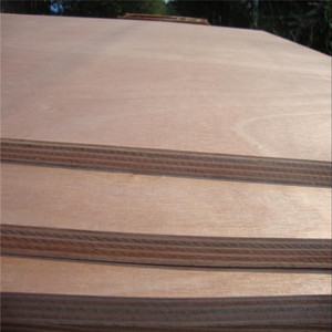 Contrachapado de Grado MR/<span class=keywords><strong>BWR</strong></span>/BWP, Contrachapado de Bintangor - Product Image 6
