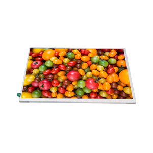 9-inch IPS LCD hiển thị bảng điều khiển yx090dkn01 với đèn nền LED LVDS SPI mipd DSi giao diện TFT loại - Product Image 3