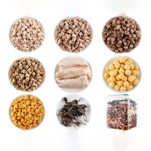 Pet Freeze Dried Series 100% Natural Pure Meat High Protein Low Fat Dog Cat Chicken Duck Salmone Quail Food Treats