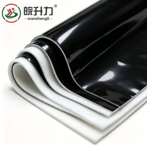 Vente chaude usine : Géomembrane composite anti-infiltration (tissu et film) pour bassins piscicoles et réservoirs de traitement des eaux usées - Product Image 1