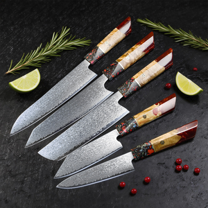 Juego de 5 <span class=keywords><strong>cuchillos</strong></span> de cocina Damasco con caja, núcleo japonés VG10 de 67 capas, juego de <span class=keywords><strong>cuchillos</strong></span> de chef ultra afilados con mango de resina, regalo para cocineros - Product Image 1