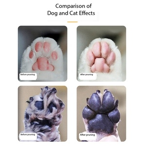 Kit DE ASEO profesional <span class=keywords><strong>para</strong></span> <span class=keywords><strong>perros</strong></span>, cortapatas recargables <span class=keywords><strong>para</strong></span> <span class=keywords><strong>perros</strong></span>, Material ABS <span class=keywords><strong>para</strong></span> recortar el <span class=keywords><strong>pelo</strong></span>, Cara de <span class=keywords><strong>perros</strong></span>, patas, ojos, orejas - Product Image 3
