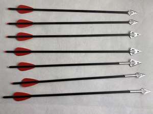 Nuevo Diseño <span class=keywords><strong>de</strong></span> Arco Compuesto <span class=keywords><strong>de</strong></span> 120 Libras con <span class=keywords><strong>Extremidades</strong></span> <span class=keywords><strong>de</strong></span> Fibra <span class=keywords><strong>de</strong></span> Vidrio y Flechas <span class=keywords><strong>de</strong></span> Carbono - Product Image 4