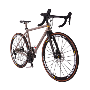 Bicicleta de Carretera DAURADA Personalizada de Aleación de Titanio, 22 Velocidades, Horquilla Delantera de Fibra de Carbono, 700c, Bicicleta de Carreras para Hombre - Product Image 1