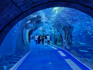 Vente directe d'usine grand <span class=keywords><strong>tunnel</strong></span> <span class=keywords><strong>sous</strong></span>-<span class=keywords><strong>marin</strong></span> d'aquarium acrylique écologique personnalisé planification d'ingénierie d'océanarium - Product Image 5