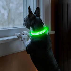 <span class=keywords><strong>Collar</strong></span> de perro con luz <span class=keywords><strong>LED</strong></span> <span class=keywords><strong>Collar</strong></span> brillante impermeable para seguridad de aventura al aire libre - Product Image 1