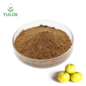 Wholesale Multipurpose Healthcare Phyllanthus Emblica Extract Phyllanthus Emblica Fruit Powder