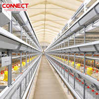 Cage d'élevage avicole à grande échelle, cage à poulets multicouche à structure en H, système d'alimentation et d'abreuvement automatique en vrac