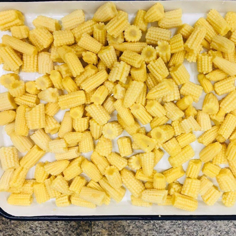 Canned Vegetable in Can Tin and