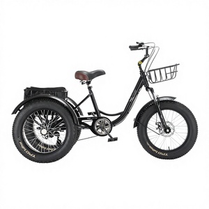 <span class=keywords><strong>Vélo</strong></span> électrique cargo à trois roues à vitesse unique de <span class=keywords><strong>20</strong></span> <span class=keywords><strong>pouces</strong></span> avec cadre en aluminium pliable entièrement antichoc Capacité de charge de 150 kg Tricycle - Product Image 4
