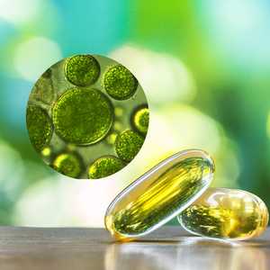 Suplemen Kesehatan Minyak Alga Softgel Nabati Produk Terlaris 2023 Minyak Omega 3 Alga Harga Bagus <span class=keywords><strong>DHA</strong></span> Minyak Alga - Product Image 2