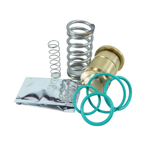 Kit de Válvula de Presión Berg 223044167P, Repuestos Compatibles, Gama Completa para Compresor de Aire de Tornillo, 1 Año de Garantía, en Stock - Product Image 5