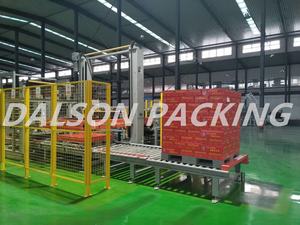 Machine de palettisation de portique de paquets de film de carton mûri - Product Image 5