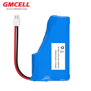 แบตเตอรี่ SPC1520 HPC1520 แบตเตอรี่หลัก พร้อม ER14250 ER14505 ER17505 ER18505 ER26500 ER34615 แบตเตอรี่ LISOCL2 - Product Image 1