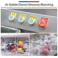 Kosteneffectieve commerciële theeblad-, fruit-, groente-, noten- en maïsreinigings- en centrifugeermachine van SUS 304 met ultrasone reiniging