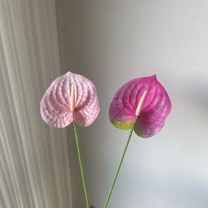 Fleur d'Anthurium Artificielle Junheyuan, Branche Unique, Fleur Artificielle Imprimée en 3D pour la Décoration Intérieure et les Arrangements Floraux - Product Image 3