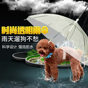 Paraguas para Mascotas, Perros y Gatos, para Exteriores, Supermercados - Product Image 2