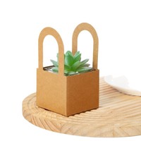 Boîte en papier kraft imperméable Xiyu, boîte en papier pour plantes vertes, boîte en papier carrée, mini boîte d'emballage pour plantes succulentes en pot