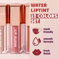 Personnaliser Meilleurs Cosmétiques Brillant à Lèvres Végétalien Sans Cruauté Brillant à Lèvres Plumper Gloss Fournisseur en gros Brillant à Lèvres Naturel