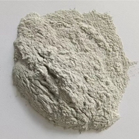 Bentonite de sodium à haute viscosité ≥30cP, poudre de bentonite pour boue de forage pour puits pétroliers et gazières
