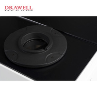 Spectromètre NIR DW-S450, analyseur NIR, analyseur de nourriture pour animaux, analyseur de céréales NIR