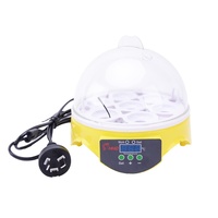 HPSFENCE Mini Boîte d'élevage intelligente pour animaux de compagnie avec contrôle numérique de la température pour pinsons et petits oiseaux