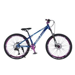 Vélo de vitesse de style européen VTT 26 24 pouces Bicicletas VTT 29 pouces VTT pour adulte - Product Image 2