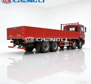 Precio de Fábrica, Camión de Carga Pesada Clw 8X4 de 10 Toneladas, Camión de Carga con Plataforma Abatible en Venta - Product Image 5