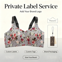 Sujetador de Gel sin Costuras con Logotipo Personalizado, Tira de Gel Inalámbrica, Soporte Suave, Antideslizante, Push-Up, Ropa Interior Femenina, OEM, ODM
