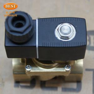 Z331 Messing Messing Roestvrij Staal 2 Way 110V 220V Ac 12V 24V Dc Draad Diafragma Normaal Gesloten Handmatige Watermagneetklep - Product Image 4