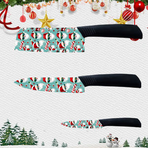 Nuevo Juego de Cuchillos de Chef Premium en Oferta, 5 Piezas, Mango de Cerámica y Plástico, Uso Profesional en Cocina, Precio de Fábrica - Product Image 5