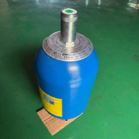 Accumulateur hydraulique de type vessie bleue EHV4-350 90, gaz azote 4 L pour gerbeur à flèche télescopique