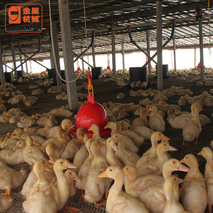 New Condition Automatic <strong>Duck</strong> and Goose Bucket Breeding System <strong>Feeder</strong> for <strong>Ducks</strong> Geese Farm Use - Product Image 4